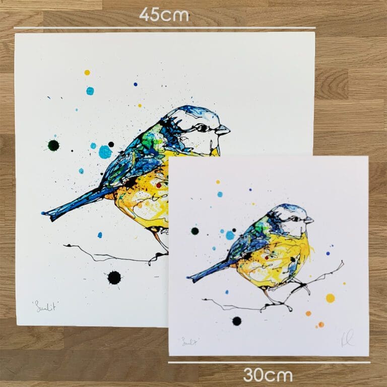 Two prints of Sunlit, a blue tit print by Kathryn Callaghan, to show the size difference between the 45cm print and the 30cm print.