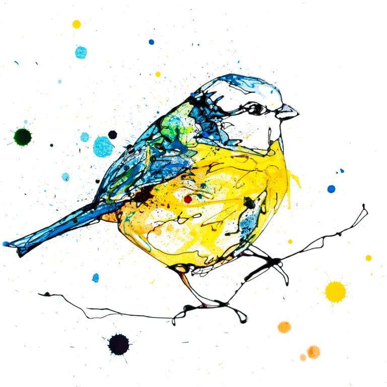 Sunlit Blue Tit print by Kathryn Callaghan