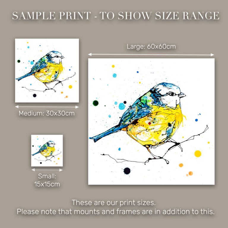Sunlit - Blue Tit Print - Image 10