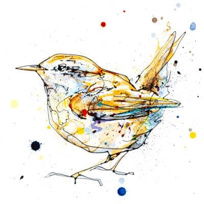 Sunrise Wren print by Kathryn Callaghan