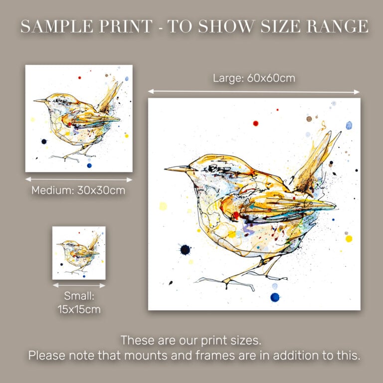 Sunrise - Wren Print - Image 10