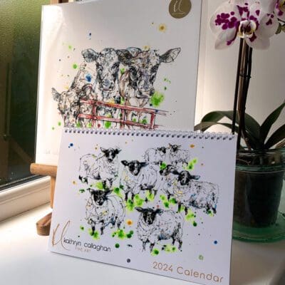The 2024 Kathryn Callaghan wall calendar pictured alongside a print of three dairy cows named Well, Hello, pictured together as a bundle on an airy windowsill.