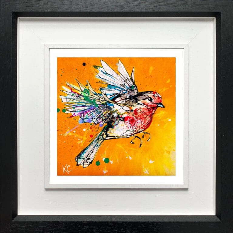 Fly High, a print of a robin in flight by Kathryn Callaghan, shown displayed in a deluxe black frame.