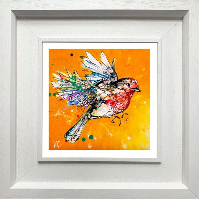 Fly High, a print of a robin in flight by Kathryn Callaghan, shown displayed in a deluxe white frame.