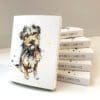 A pack of miniature notecards featuring a print of a terrier named 'Expectation' by Kathryn Callaghan.The pack is leaned against 5 identical packs and text on their spines reads "The Eco Friendly Card Co."