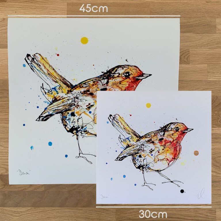 Two prints of Dawn, a robin print by Kathryn Callaghan, to show the size difference between the 45cm print and the 30cm print.