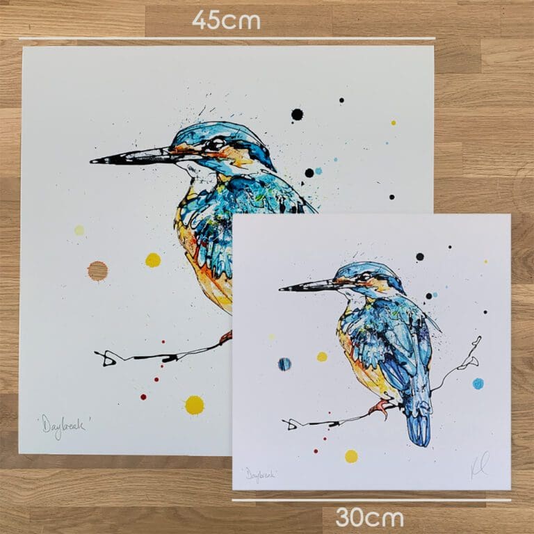 Two prints of Daybreak, a kingfisher print by Kathryn Callaghan, to show the size difference between the 45cm print and the 30cm print.