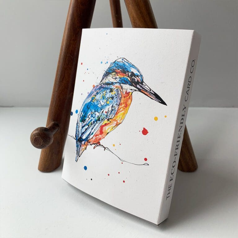 A pack of notecards featuring artwork by Kathryn Callaghan, resting against an easel. The cover features one of the designs, 'Gaze', which portrays a kingfisher perched on a branch. Text on the spine reads 'The Eco Friendly Card Co.'