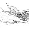 A print by Kathryn Callaghan of The Púca, a mischievous creature from Irish folklore. The Púca shown here is depicted in swirls of poured black ink, with a motif of spirals throughout.