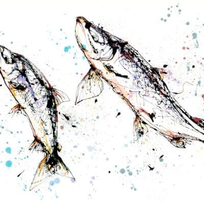 A print of a pair of leaping salmon by Kathryn Callaghan, titled 'Leap'.