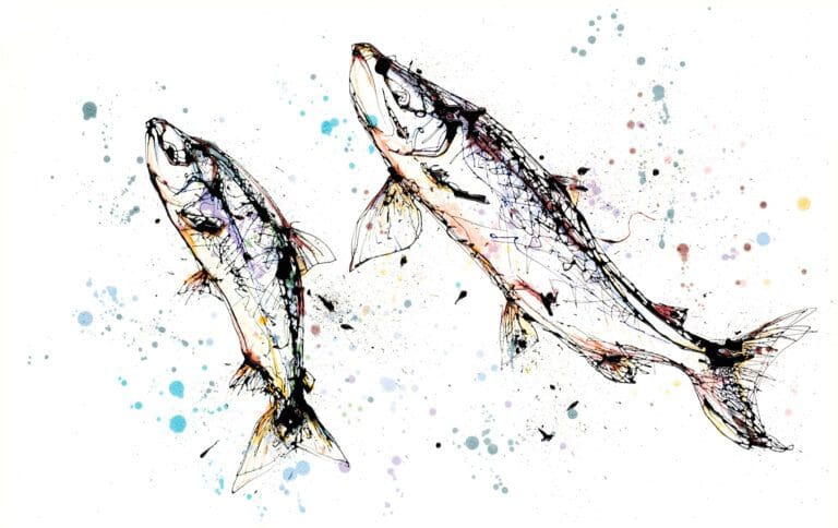 A print of a pair of leaping salmon by Kathryn Callaghan, titled 'Leap'.