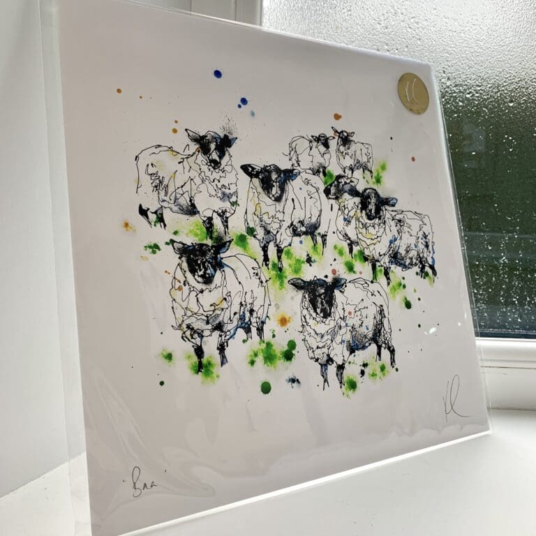 A print of Baa by Kathryn Callaghan, which features a flock of Scottish Blackface sheep looking curiously at the viewer. The 30cm print is presented flat in a clear cello bag with a golden KC sticker in the top right.