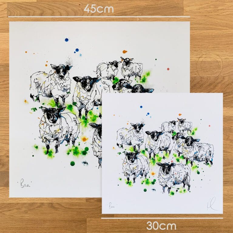 Two prints of Baa by Kathryn Callaghan, to show the size difference between the 45cm print and the 30cm print.