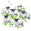 A print by Kathryn Callaghan titled 'Baa'. The print features flock of 7 black-faced sheep looking at the viewer, standing amongst a field suggested by splashes of verdant bright green.