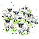 A print by Kathryn Callaghan titled 'Baa'. The print features flock of 7 black-faced sheep looking at the viewer, standing amongst a field suggested by splashes of verdant bright green.