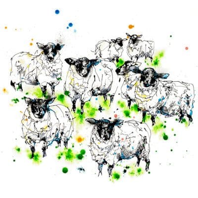 A print by Kathryn Callaghan titled 'Baa'. The print features flock of 7 black-faced sheep looking at the viewer, standing amongst a field suggested by splashes of verdant bright green.