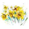 A print of a seven butter-yellow daffodils named 'Happy Days' by Kathryn Callaghan. The daffodils are facing to the left of the image.