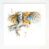 A print of a barn owl named 'Hover' by Kathryn Callaghan shown in a Standard White Frame.