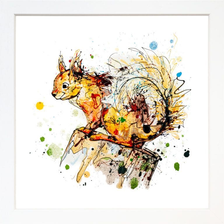 A red squirrel print by Kathryn Callaghan, named 'Happy Go Lucky', displayed in a Standard White frame.