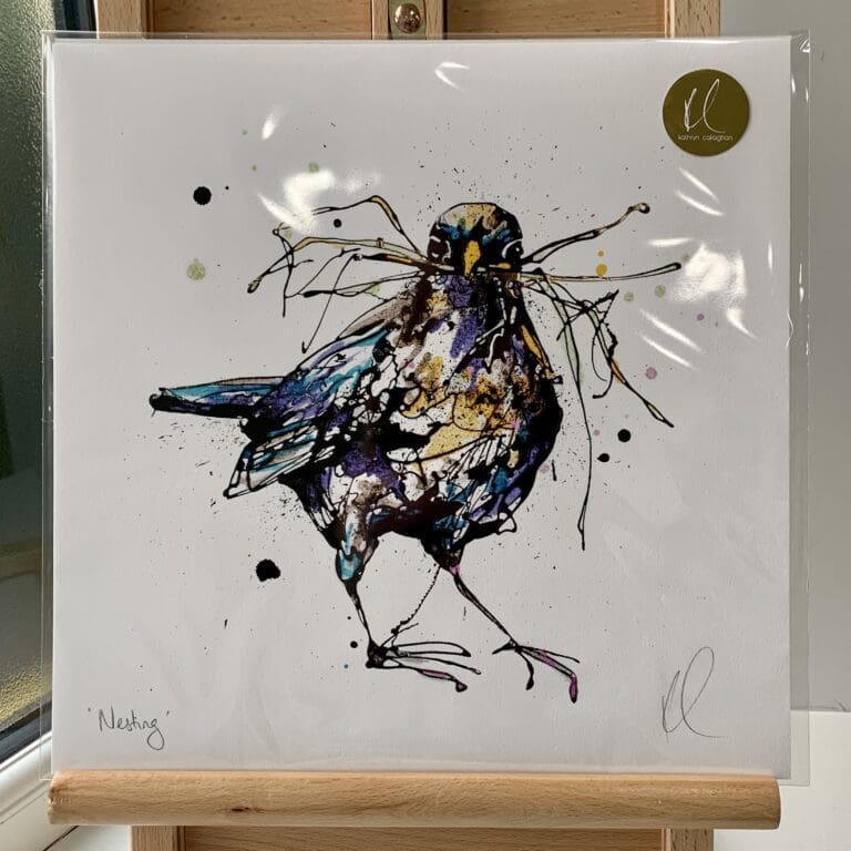 A print of Nesting by Kathryn Callaghan, which features a blackbird with a beak full of straw. The 30cm print is presented flat in a clear cello bag with a golden KC sticker in the top right.