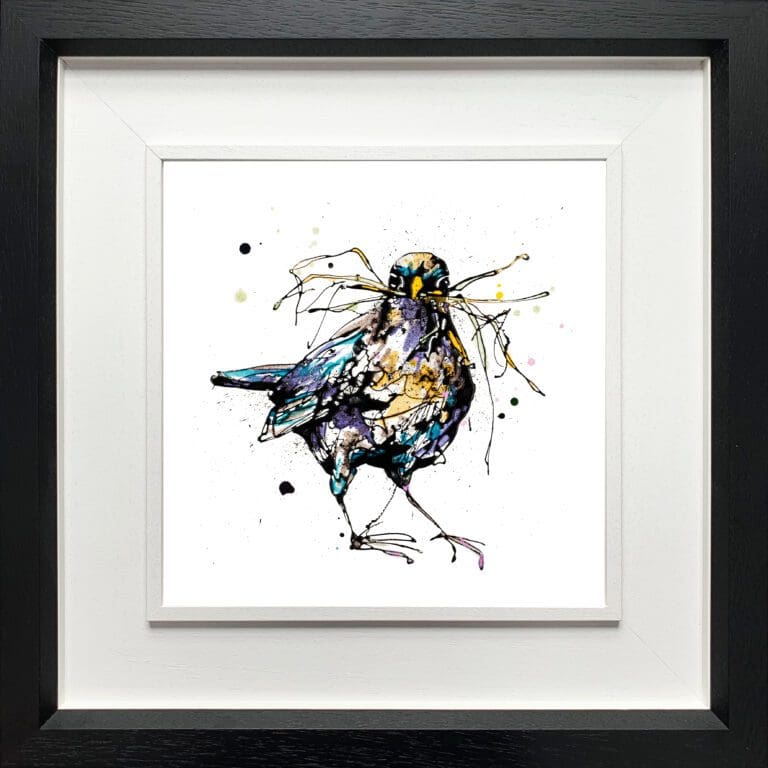 A blackbird print by Kathryn Callaghan, named 'Nesting', displayed in a Deluxe Black frame.