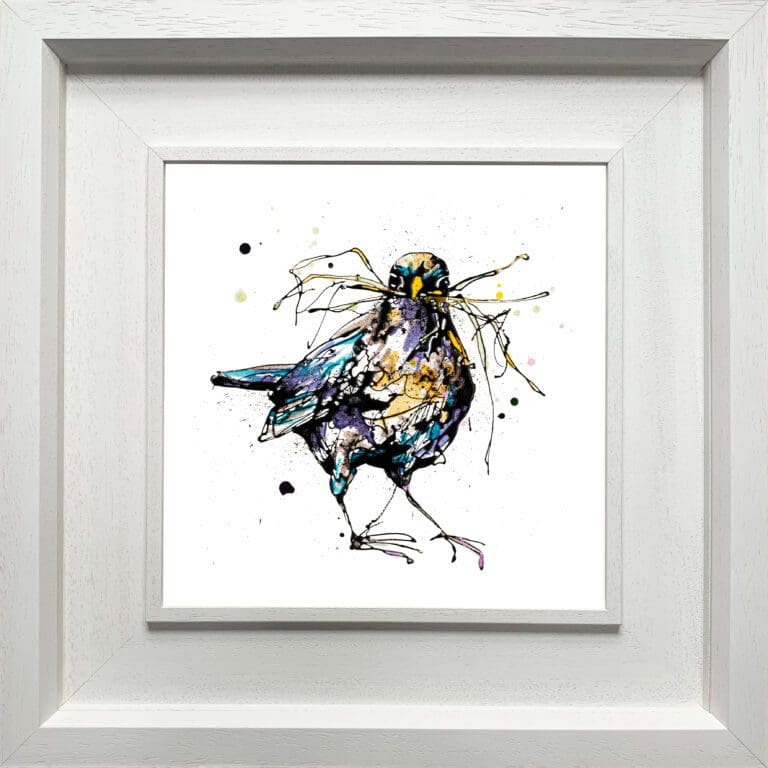 A blackbird print by Kathryn Callaghan, named 'Nesting', displayed in a Deluxe White frame.