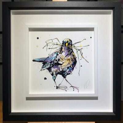 An original painting named Nesting by Kathryn Callaghan, featuring a blackbird holding a cluster of nesting materials in his beak. The painting is framed in a two part white and black frame.