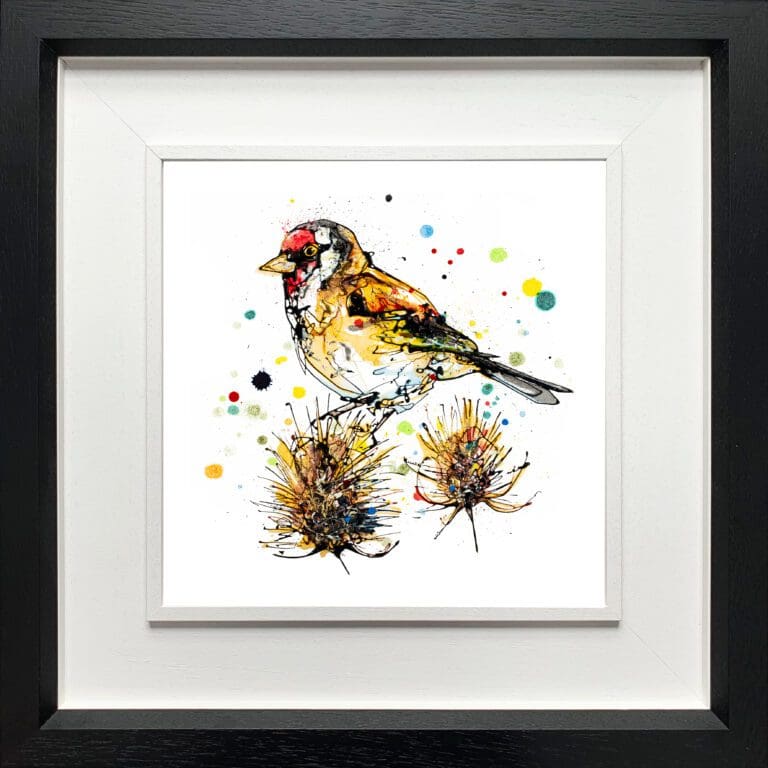 A goldfinch print by Kathryn Callaghan, named 'Sundown', displayed in a Deluxe Black frame.