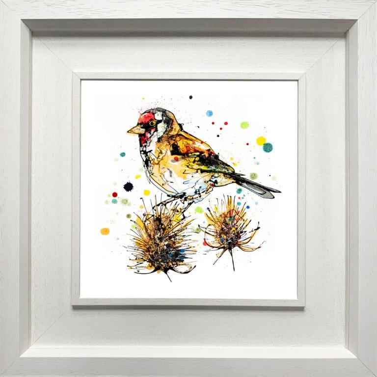 A goldfinch print by Kathryn Callaghan, named 'Sundown', displayed in a Deluxe White frame.