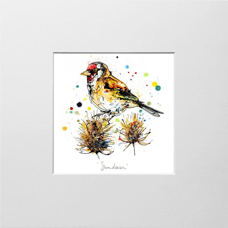 A digital mockup showing how a miniature print of Sundown by Kathryn Callaghan will look presented in a 23cm mount. Sundown features a goldfinch perched on a thistle.