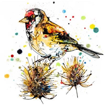 Sundown, a painting of a goldfinch sat on a thistle by Kathryn Callaghan.