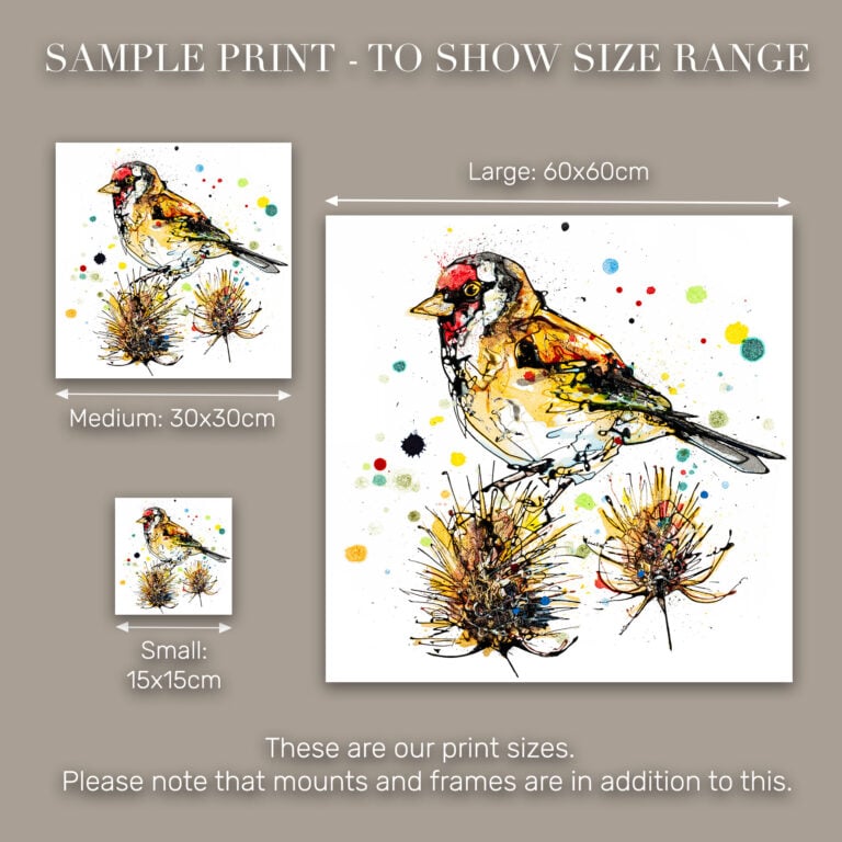 Sundown - Goldfinch Print - Image 10