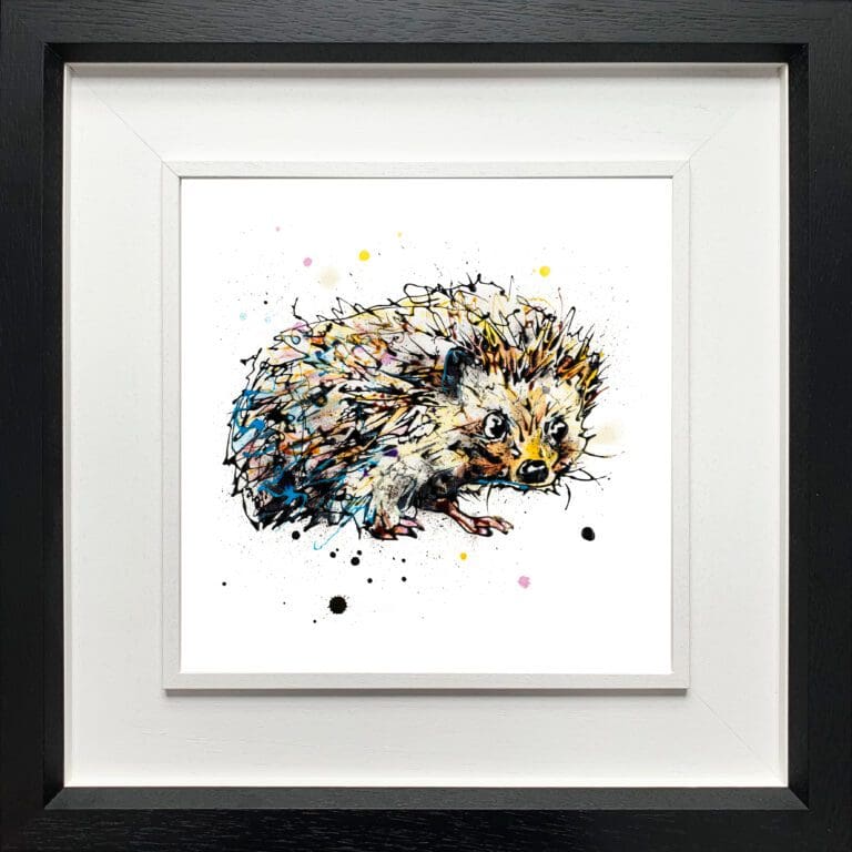 A baby hedgehog print by Kathryn Callaghan, named 'Tiny Steps', displayed in a Deluxe Black frame.