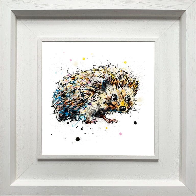 A baby hedgehog print by Kathryn Callaghan, named 'Tiny Steps', displayed in a Deluxe White frame.