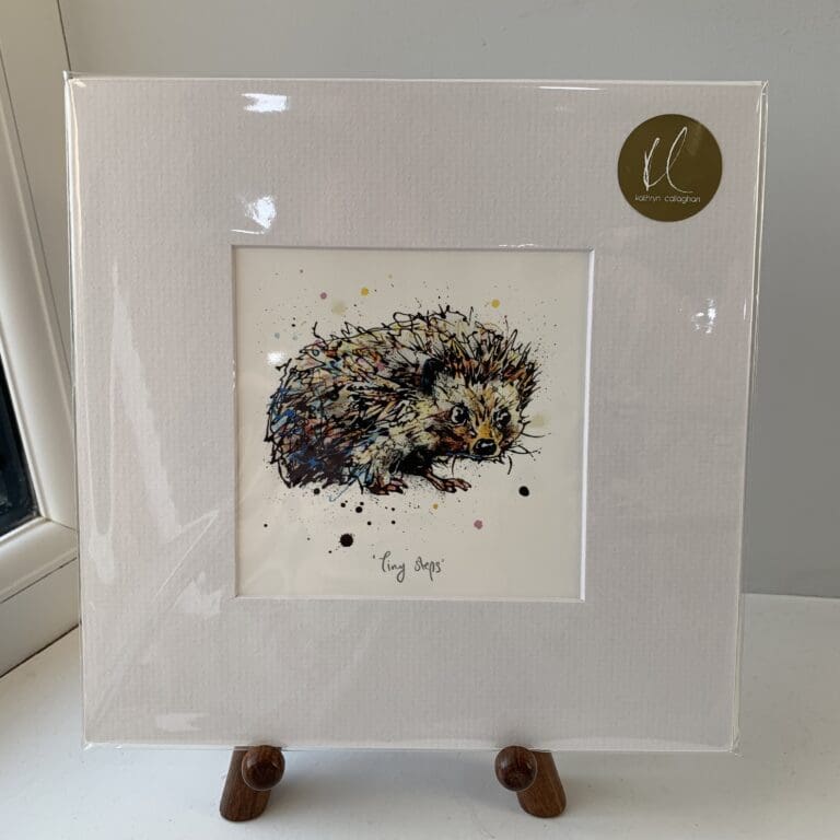 A miniature print of "Tiny Steps" by Kathryn Callaghan, which features a bright eyed hedgehog, presented in a white mount.