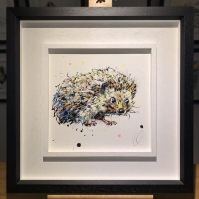 An original painting named Tiny Steps by Kathryn Callaghan, featuring a bright-eyed hedgehog. The painting is framed in a two part white and black frame.