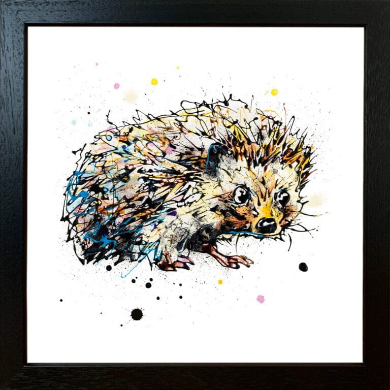 A baby hedgehog print by Kathryn Callaghan, named 'Tiny Steps', displayed in a Standard Black frame.