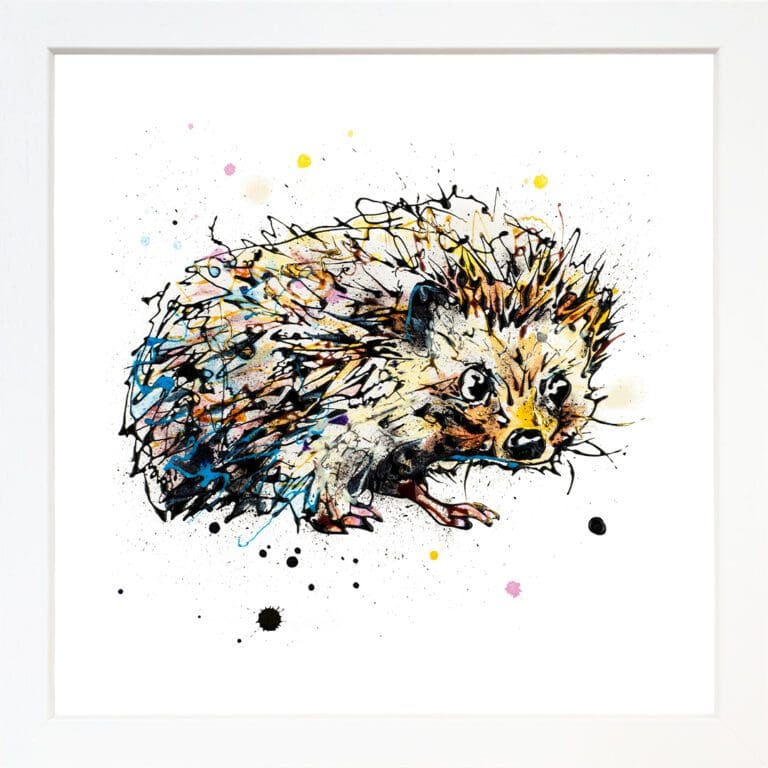 A baby hedgehog print by Kathryn Callaghan, named 'Tiny Steps', displayed in a Standard White frame.