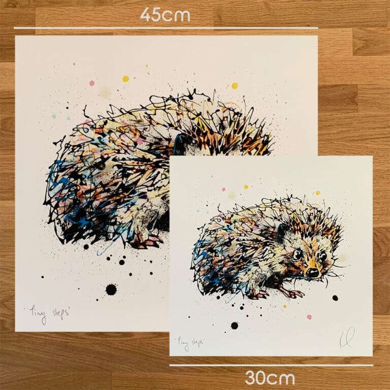 Two prints of Tiny Steps Kathryn Callaghan to show the size difference between the 45cm print and the 30cm print.