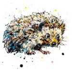 A print of a hedgehog by Kathryn Callaghan, with bright black eyes looking at the viewer.