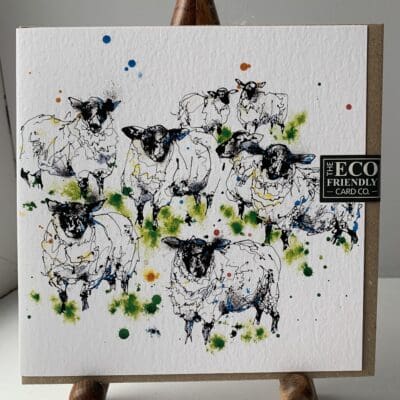 A greetings card featuring a print of a flock of sheep named Baa by Kathryn Callaghan.