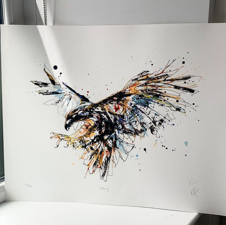 A large print of a lunging falcon, named Velocity, by Kathryn Callaghan. The print is stood upright in a sunny windowsill.