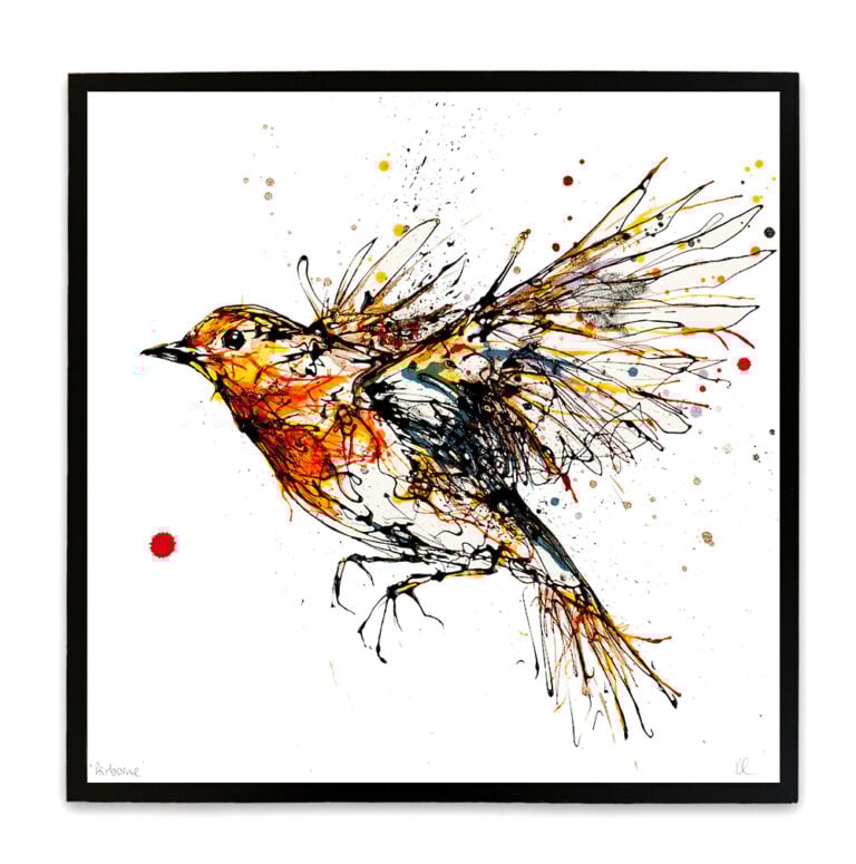 Airborne - Robin Print - Image 2