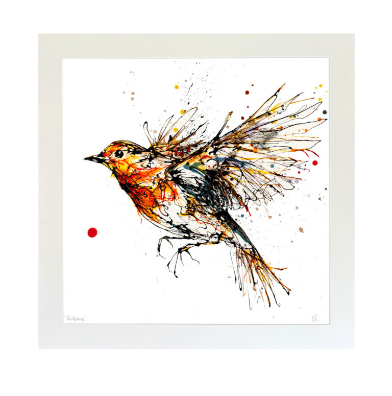 Airborne - Robin Print - Image 3