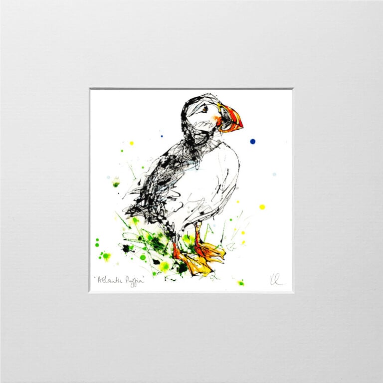 Atlantic Puffin - Puffin Print - Image 9