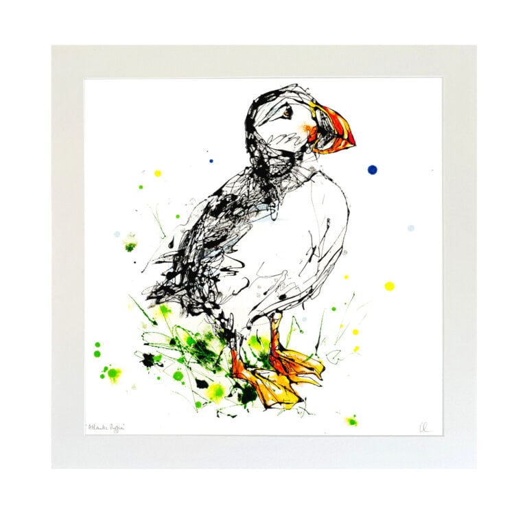 Atlantic Puffin - Puffin Print - Image 3
