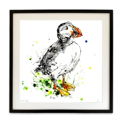 Atlantic Puffin - Puffin Print