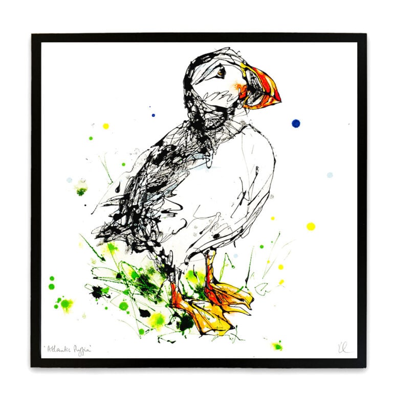 Atlantic Puffin - Puffin Print - Image 5