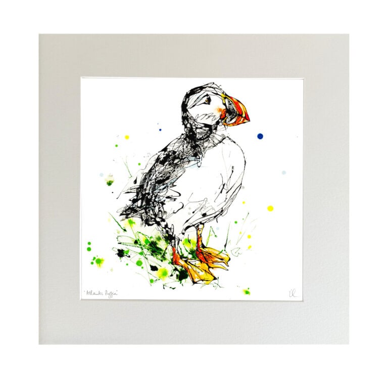 Atlantic Puffin - Puffin Print - Image 6