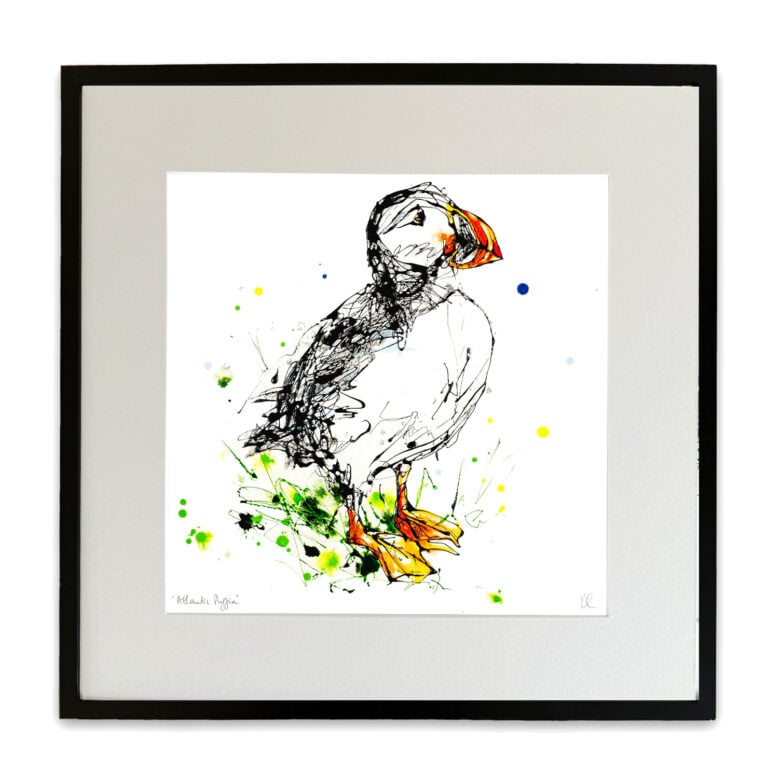 Atlantic Puffin - Puffin Print - Image 4